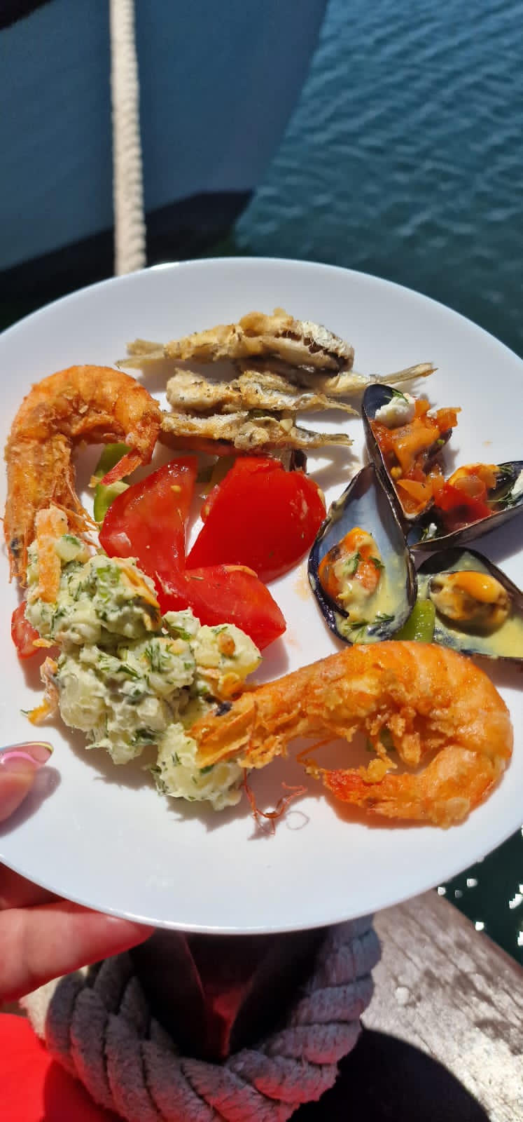 Fresh seafood on board