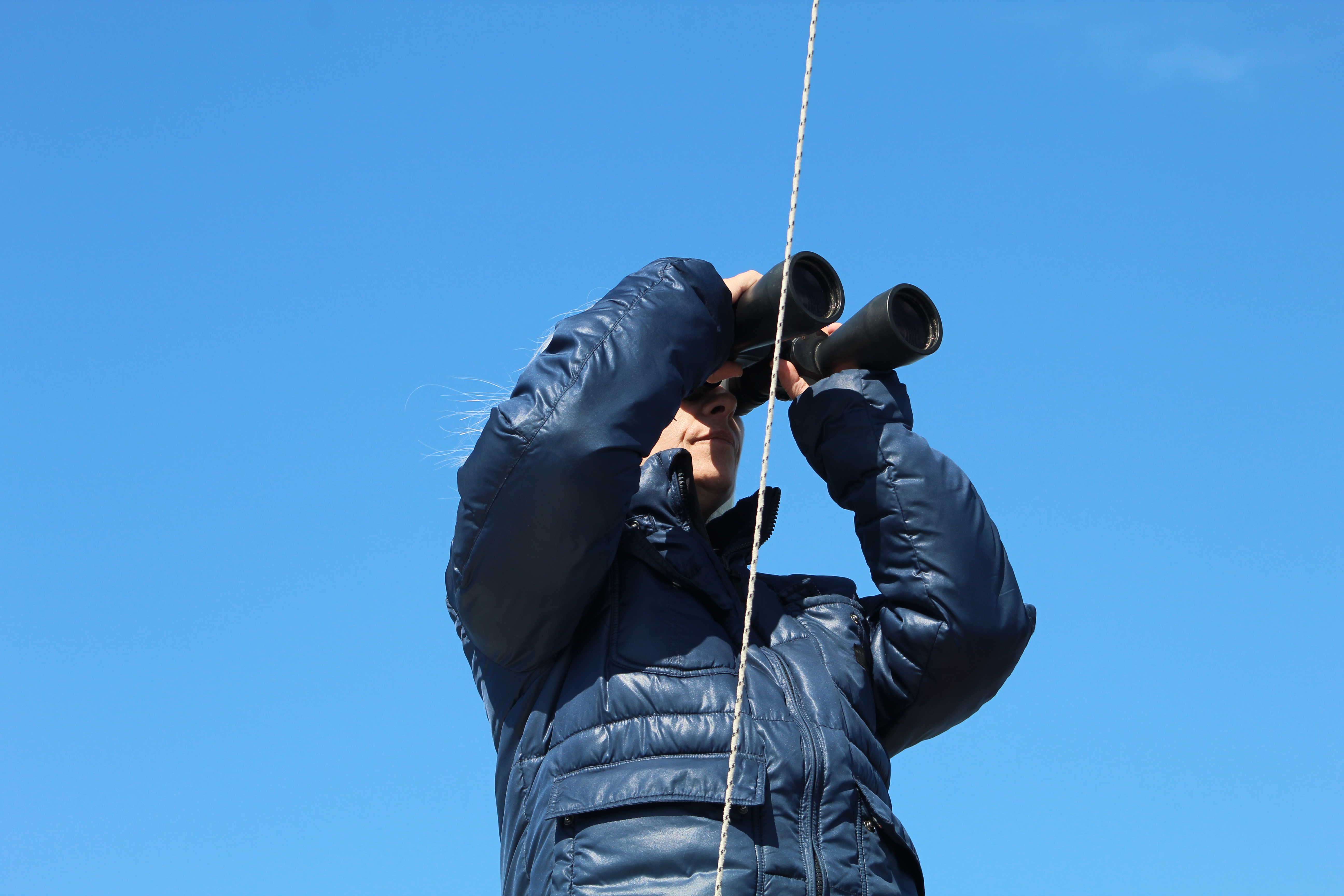 Spotting wildlife on the cruise